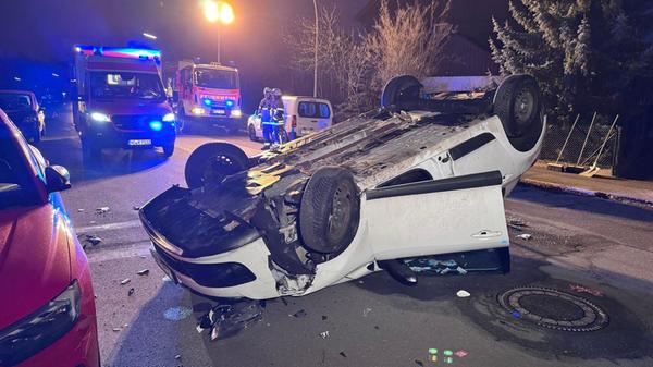 Mensch und Tier mit Glück im Unglück: Autofahrer