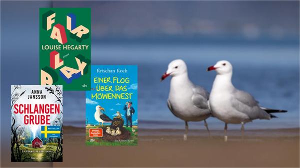 2025-12-16_10-57_collage