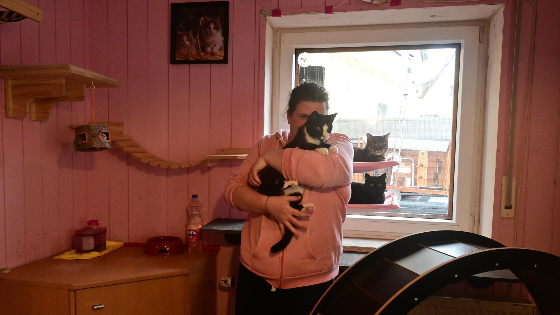 Nach-Tod-von-eigener-Katze-Eckentaler-Paar-sucht-Familien-berfahrener-Haustiere