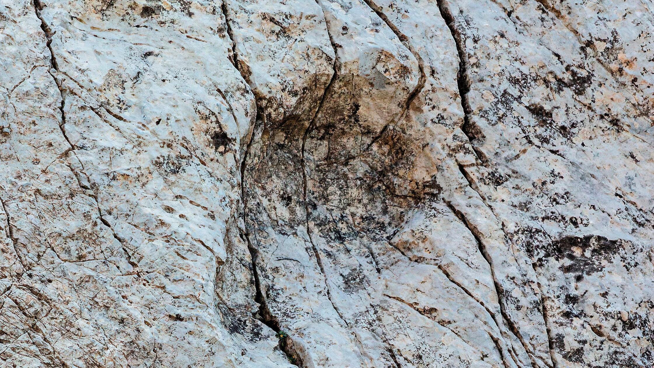 spektakul-rer-fund-in-den-alpen-forscher-entdecken-spuren-und-regelrechtes-dinosaurier-tal