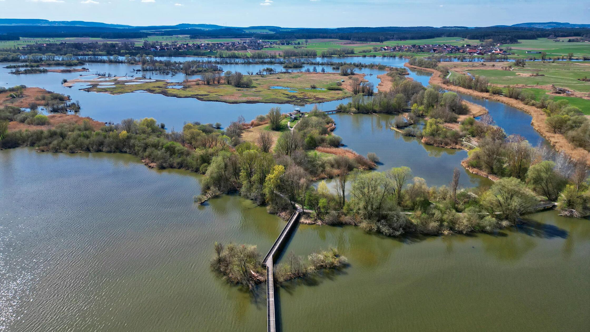 Um-die-G-nsezahl-zu-reduzieren-erstmals-Gelegebehandlung-auf-der-Vogelinsel-am-Altm-hlsee