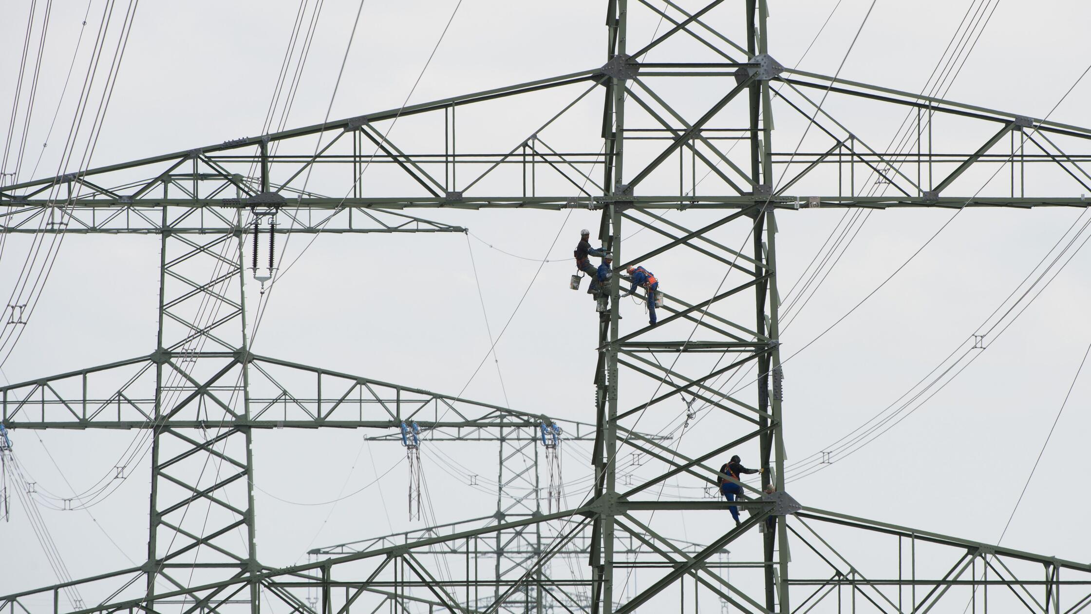 ARCHIV - 08.06.2015, Thüringen, Langewiesen: Arbei