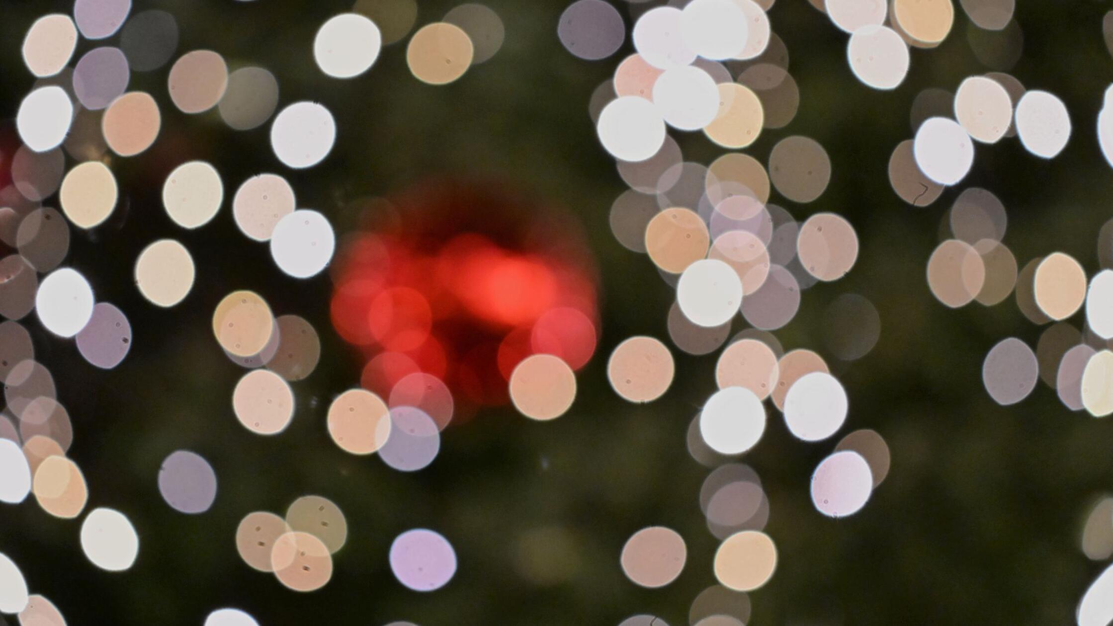 V Švaben vrnjen ukraden božični drevesček s sporočilom