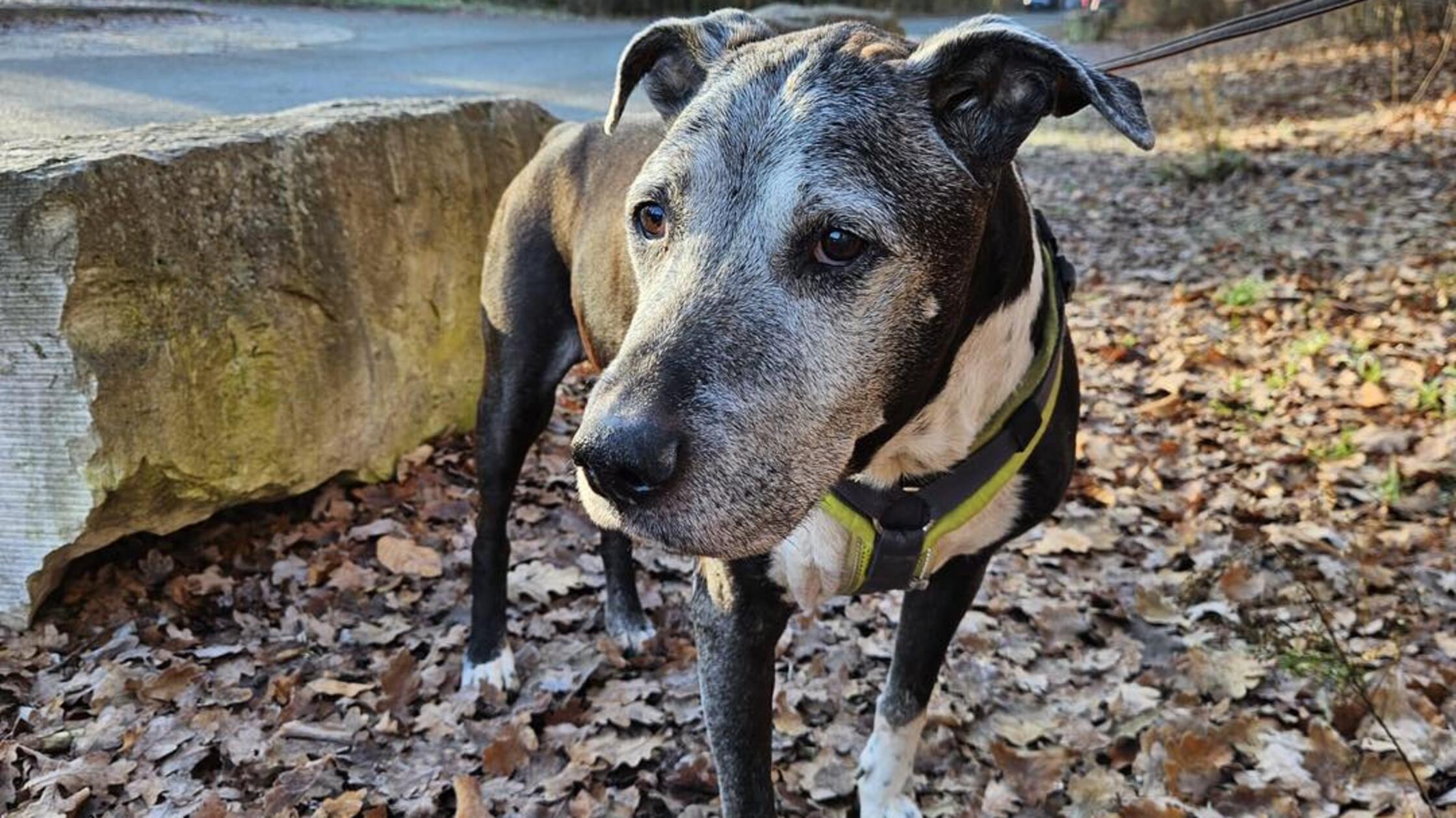 600945414_1290200629819372_3628804094164629566_n