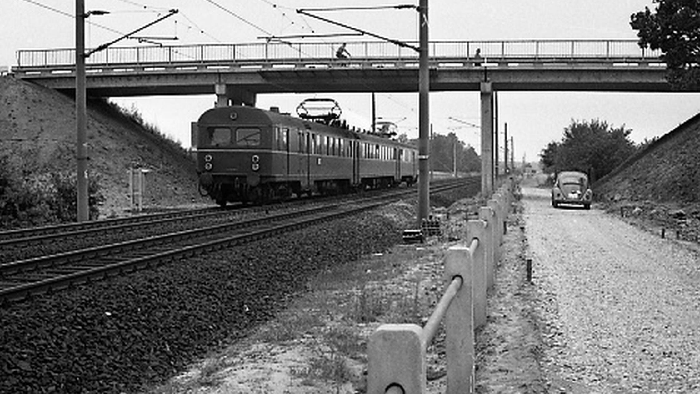 F-rther-Fotor-tsel-Unter-welcher-Br-cke-fliegt-der-K-fer-hindurch-