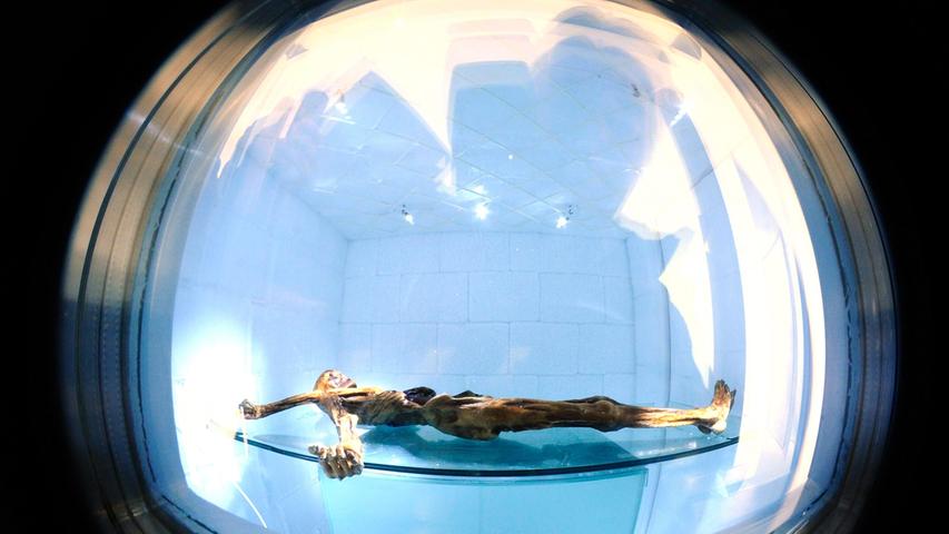 So wird die Mumie in der Sonderausstellung "20 Jahre Ötzi" im Südtiroler Archäologie-Museum in Bozen präsentiert.