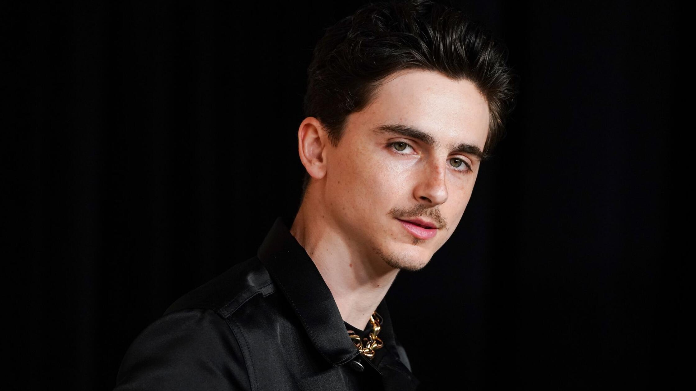 Ist Timothée Chalamet der neue Leonardo DiCaprio?