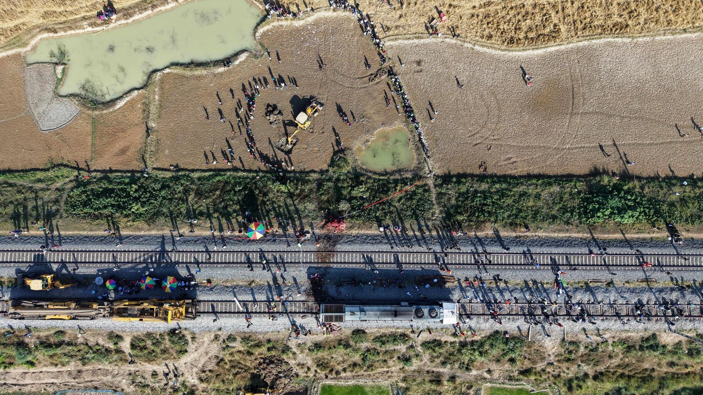 Sieben Elefanten sterben in Indien bei Kollision mit Zug