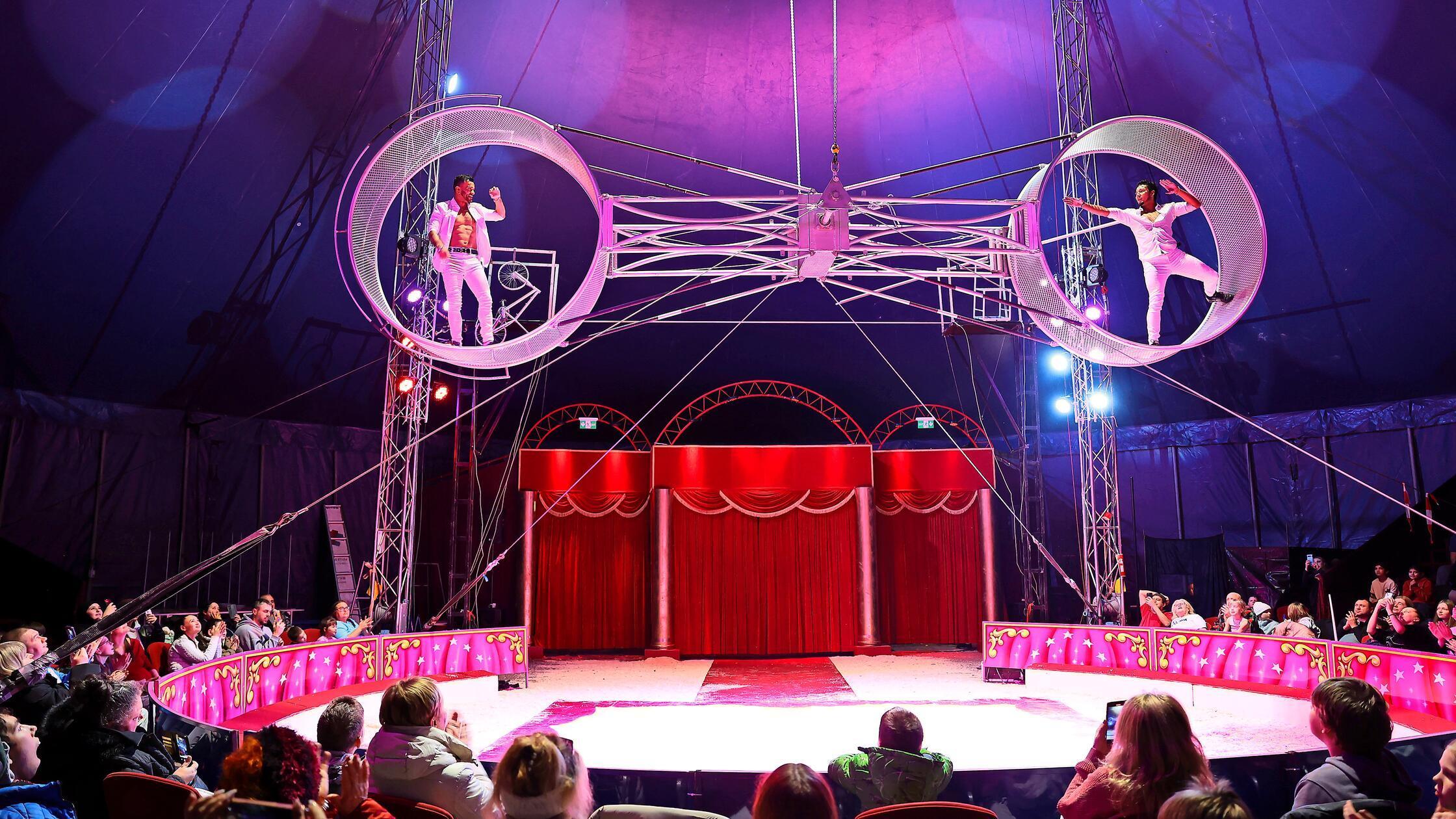 Glanz-und-Nervenkitzel-Das-erwartet-Besucher-beim-Weihnachtszirkus-Bayreuth