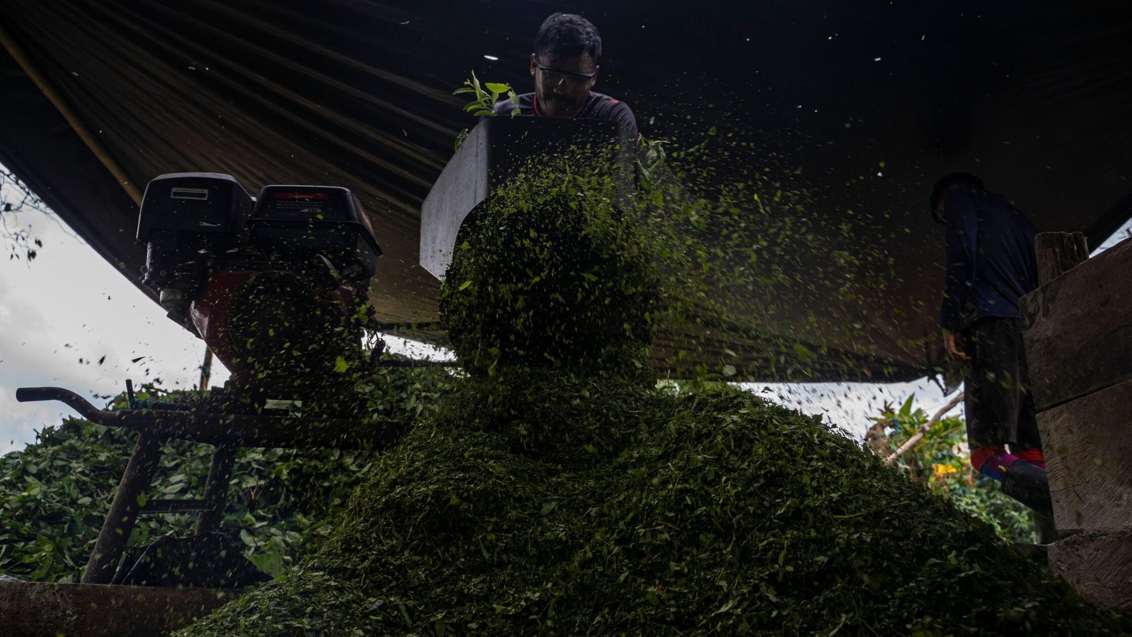 Kolumbien beschlagnahmt 27 Tonnen Kokain auf hoher See
