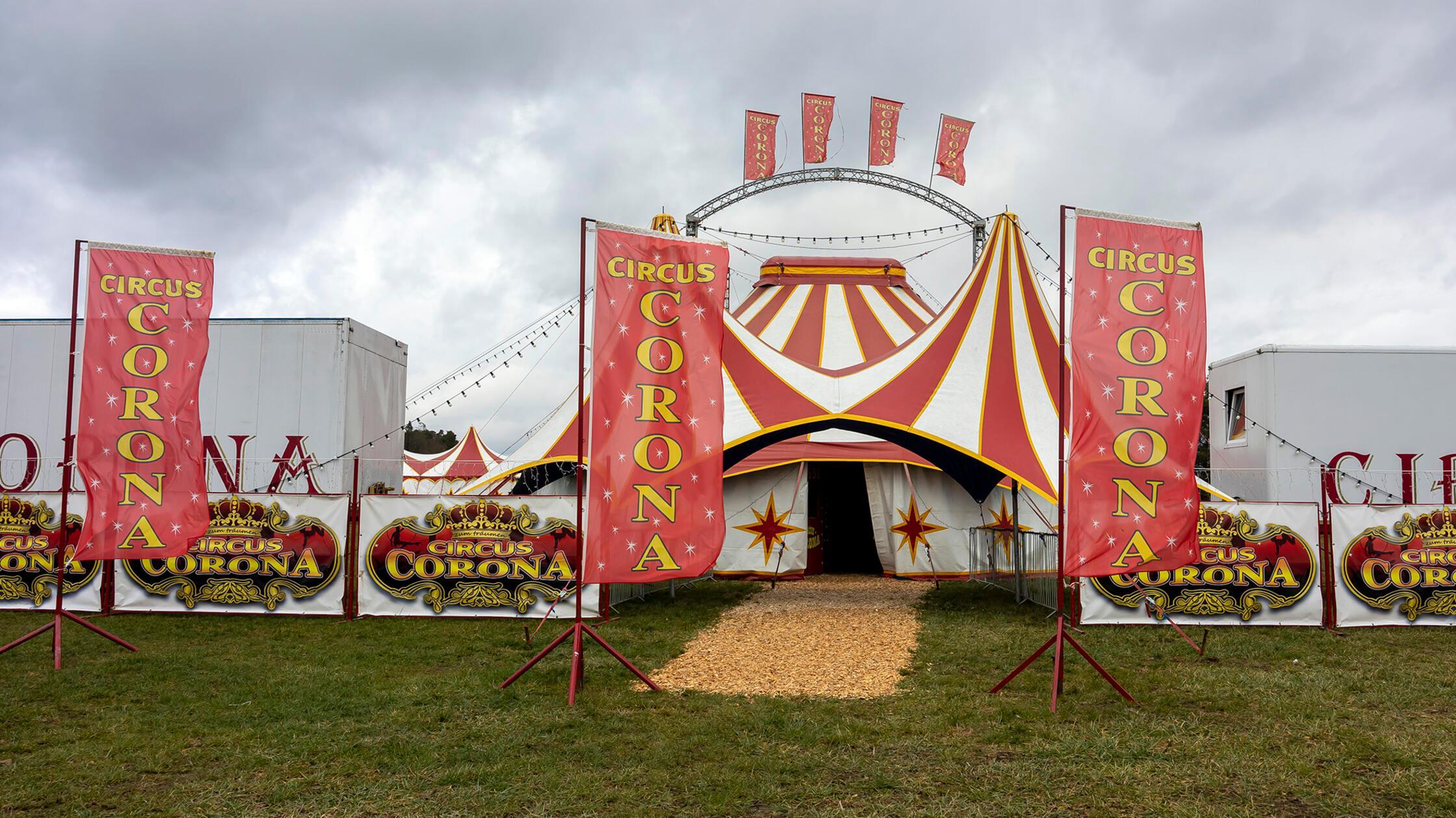 Unbekannte-lassen-in-Herzogenaurach-Zirkus-Pferd-frei-Tier-rennt-in-fahrendes-Auto