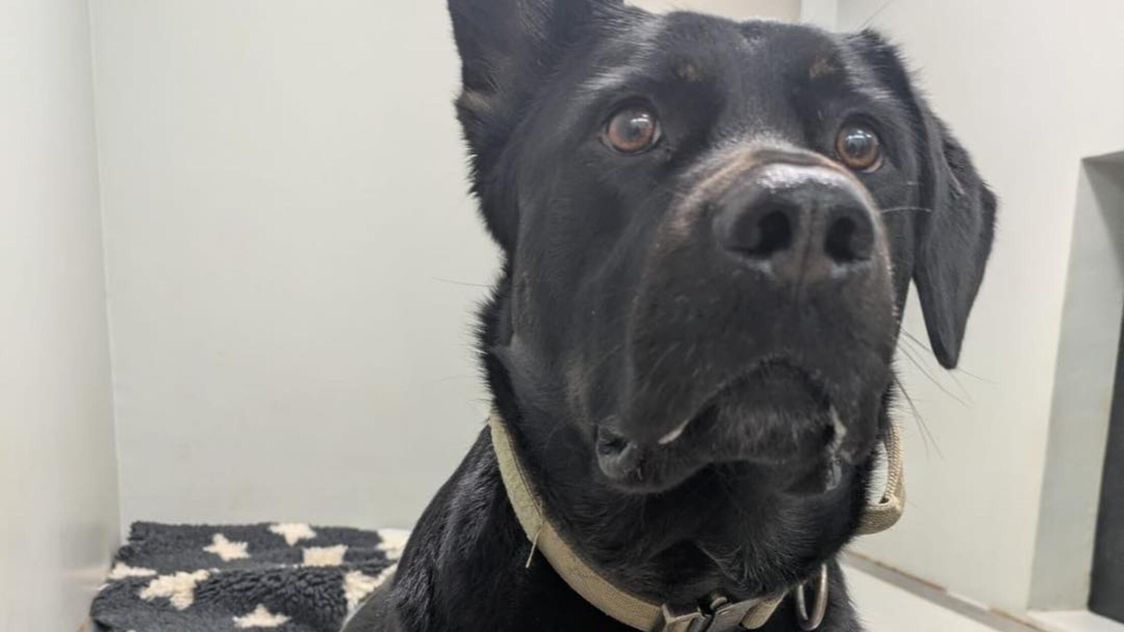 603834470_1292353709604064_9049749029925118317_n