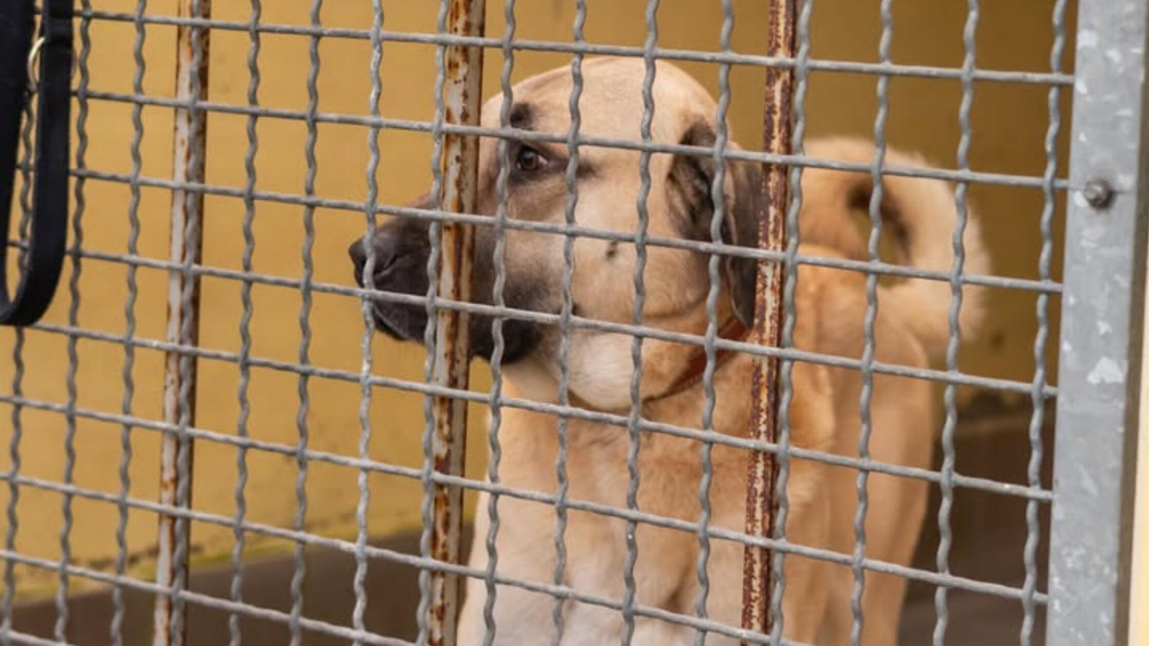 2025-12-22_18-24_bild_erweitern