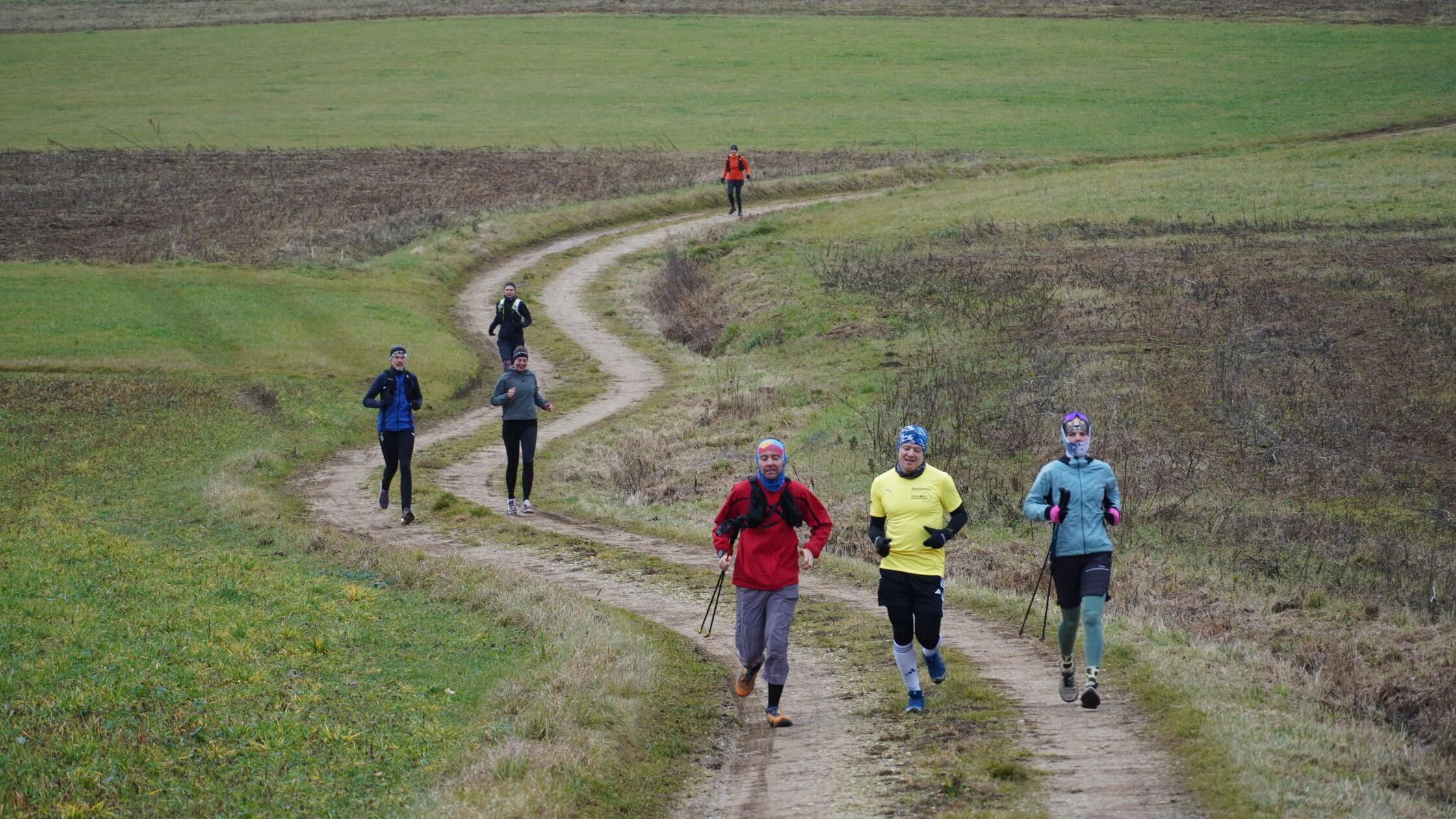 -Einfach-durchhalten-L-ufer-begleiten-Marathon-Influencerin-durchs-N-rnberger-Land