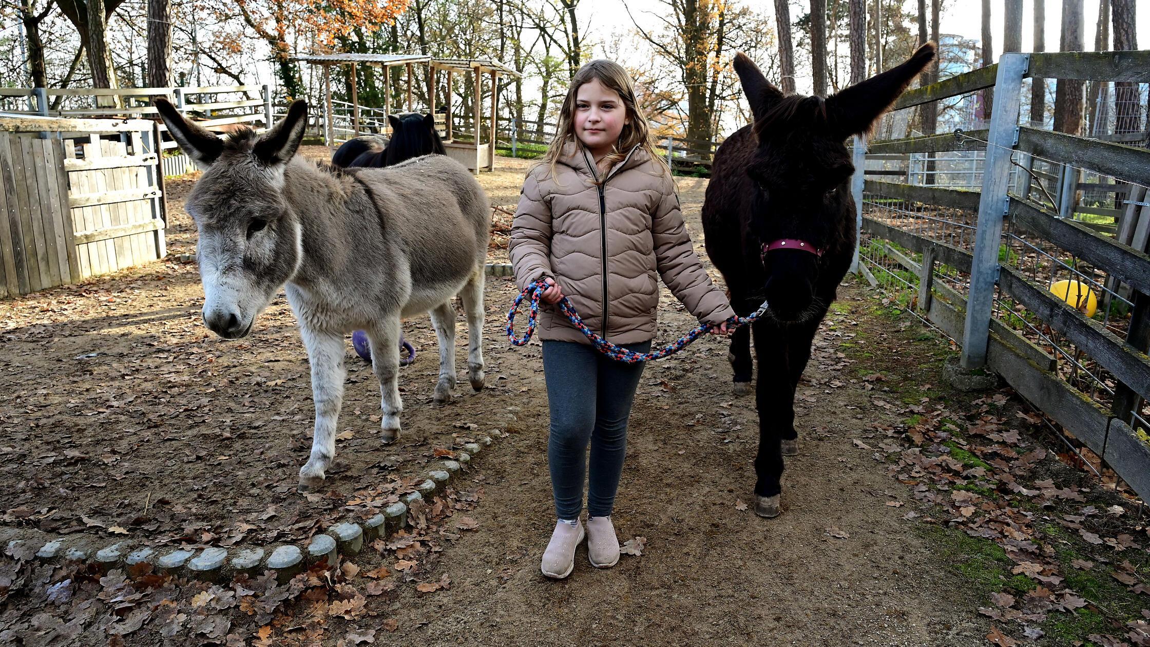 P-dagogen-mit-vier-Pfoten-Bauernhof-der-N-rnberger-Stadtmission-setzt-auf-Tiertherapie