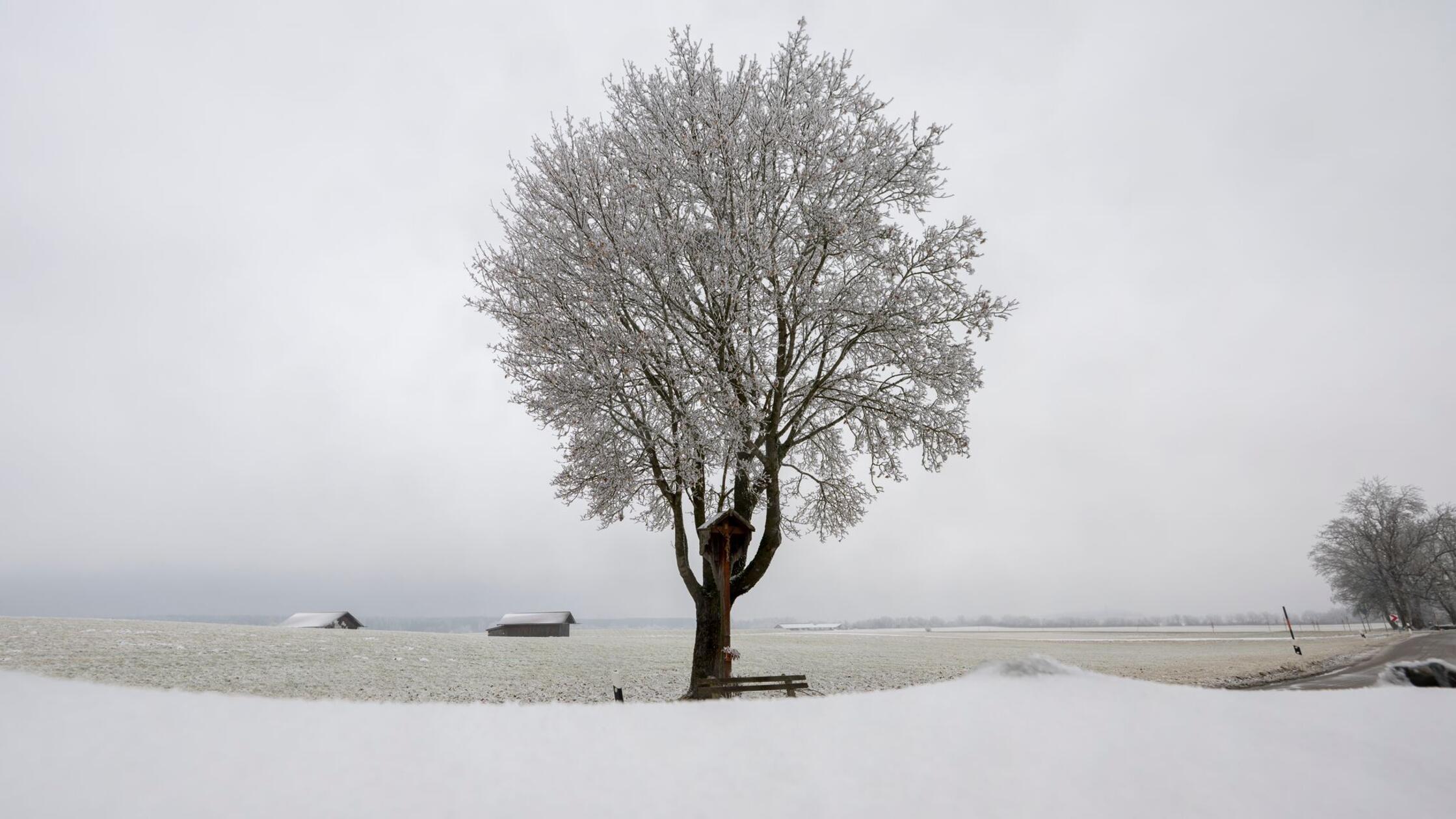 Wetter an den Feiertagen in Franken: Deutscher Wetterdienst mit Warnung - Sonne und Frost erwartet