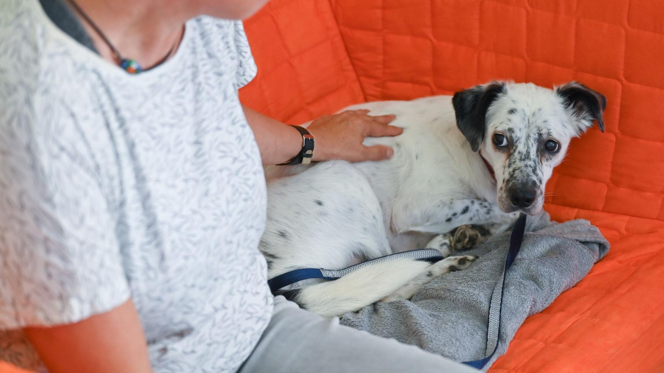 Diskussion um Jahresausklang ohne Böller nimmt Fahrt auf