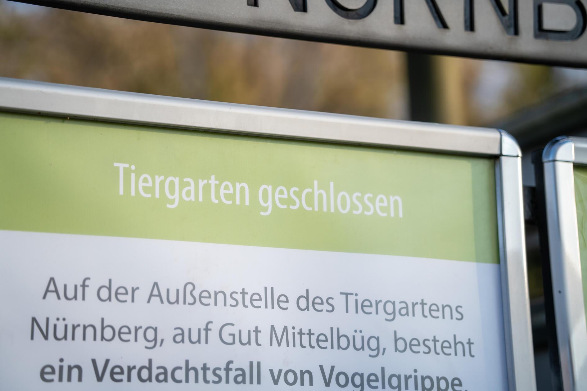 Das-Jahr-2025-in-Bildern-Diese-Geschichten-aus-N-rnberg-und-der-Region-bleiben-im-Kopf