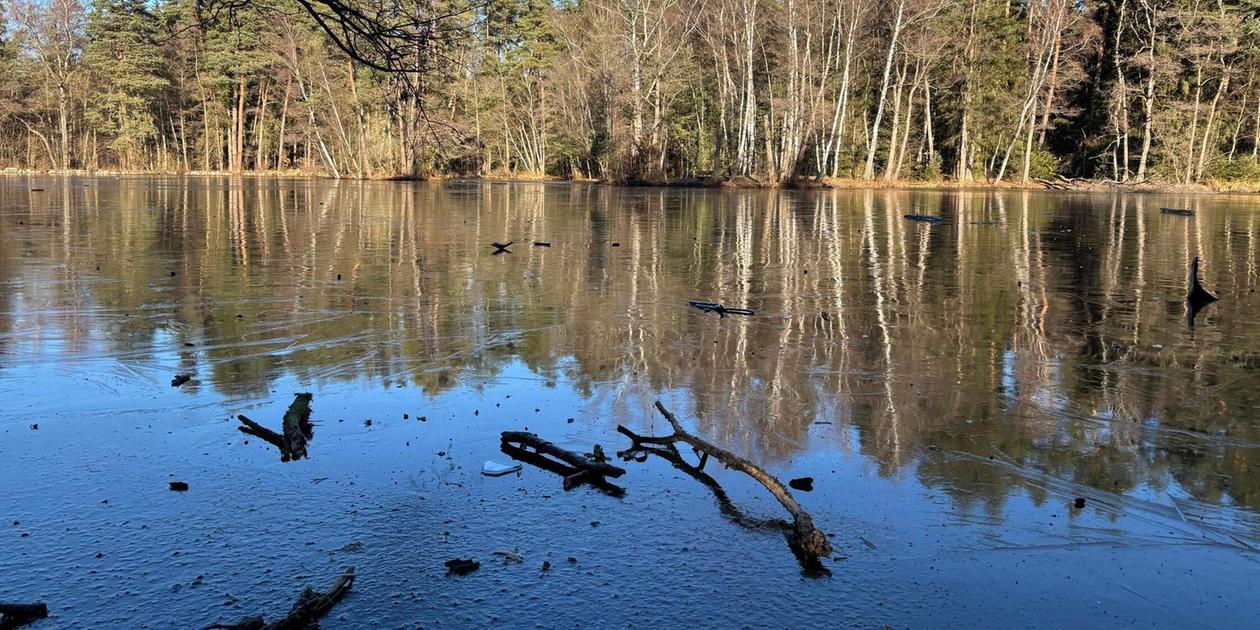 Auf Ganz D nnem Eis Warum N rnbergs Weiher Trotz Frost Derzeit Noch auf-ganz-d-nnem-eis-warum-n-rnbergs-weiher-trotz-frost-derzeit-noch