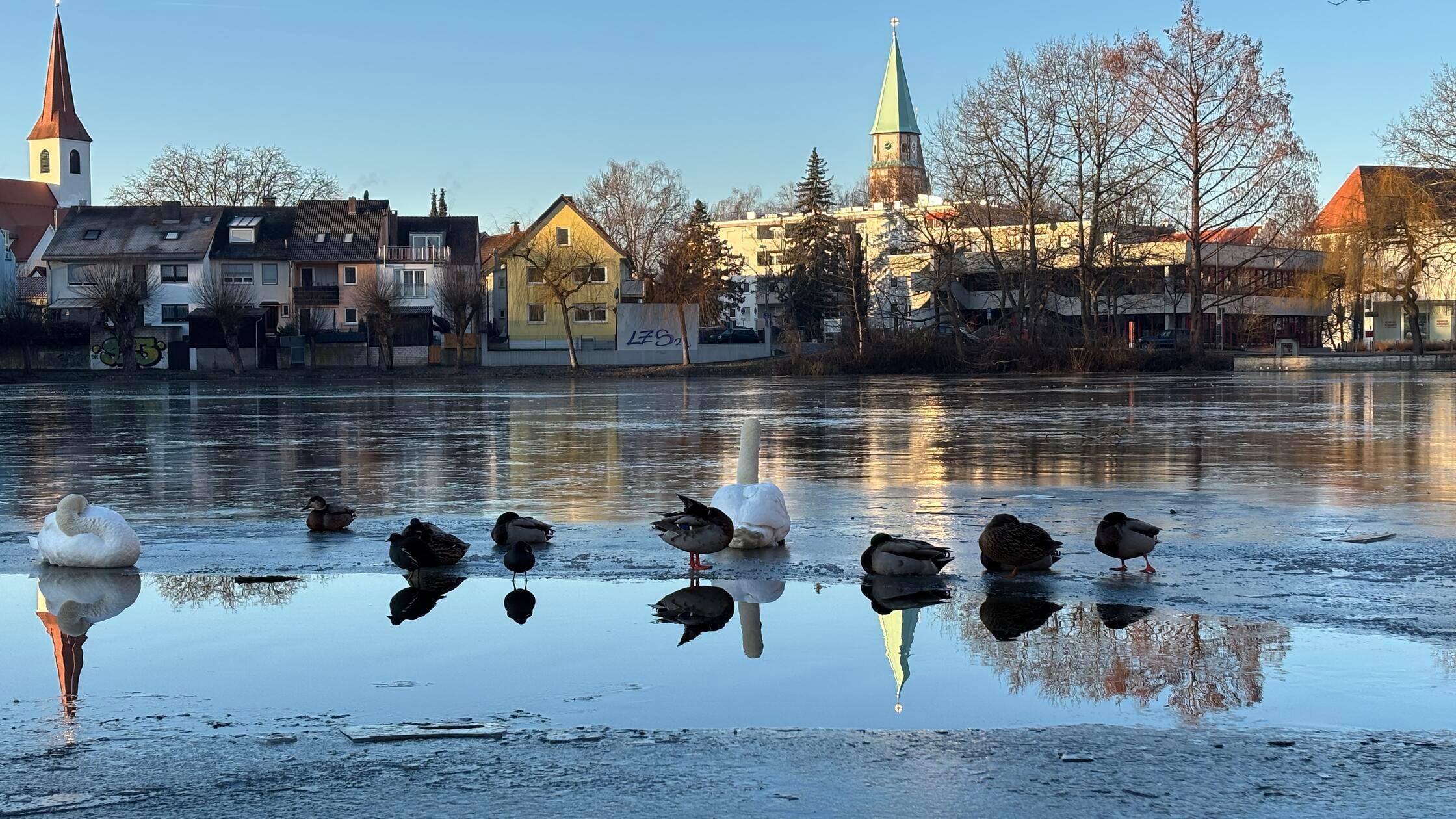 Federn-Frost-und-Fantasie-Davon-tr-umen-die-Enten-am-Neumarkter-Schlossweiher