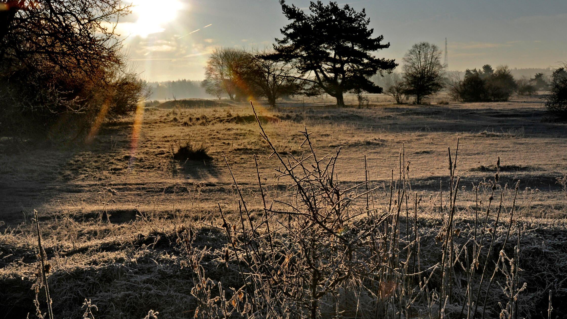 Moorenbrunnfeld-in-N-rnberg-Wird-die-Fl-che-2026-endlich-unter-Schutz-gestellt-