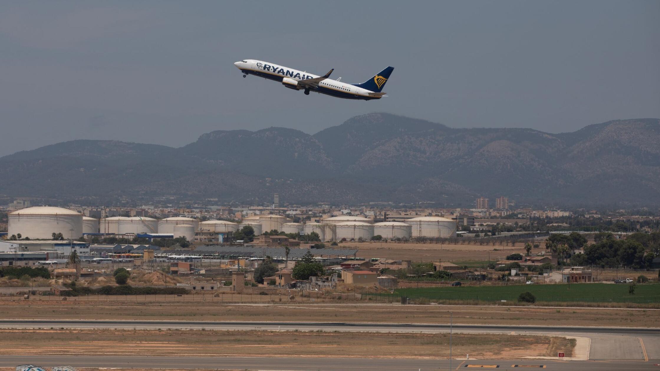 Hundewelpe-sorgt-am-Mallorca-Flughafen-f-r-Aufregung