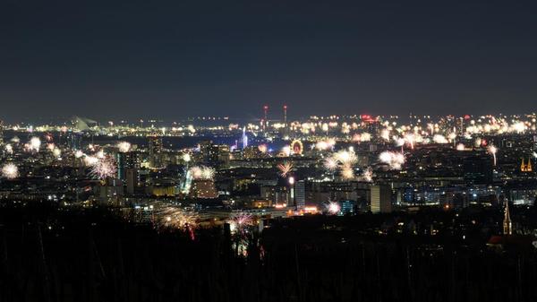 Das Feuerwerk über Wien zum Jahreswechsel.