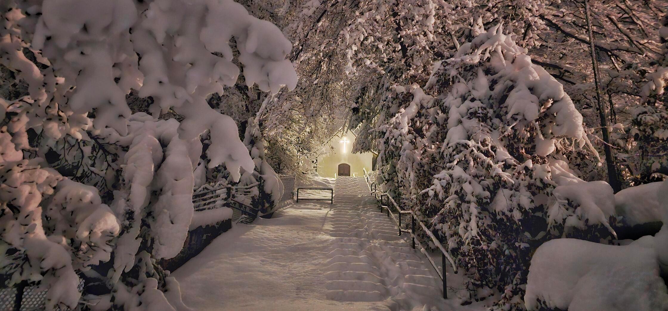 Die-sch-nsten-Leserfotos-aus-Erlangen-und-Erlangen-H-chstadt-2026