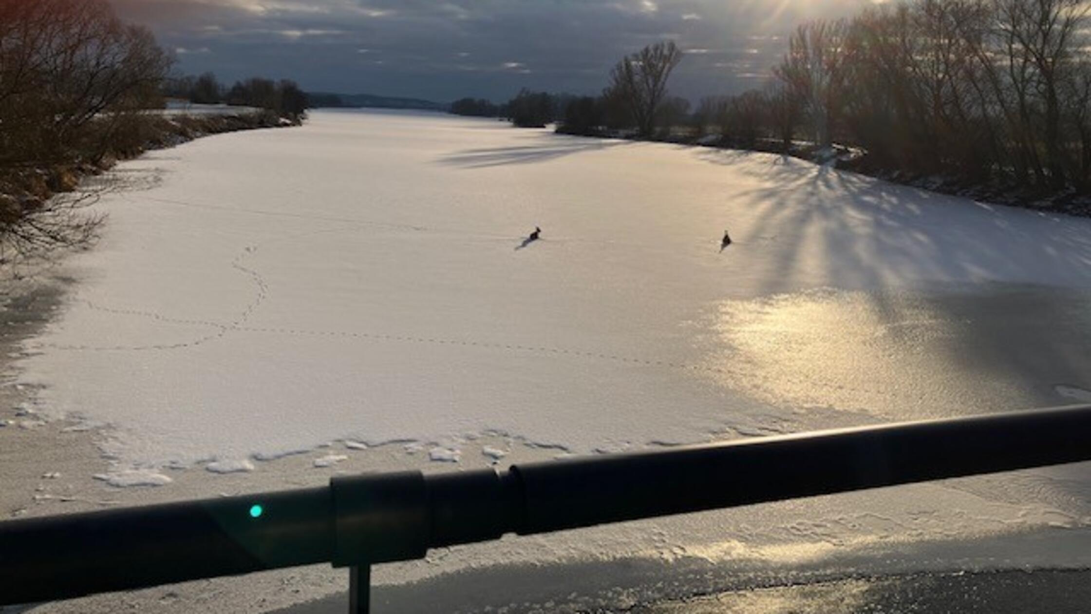 altmuehlsee_eisflaechen_