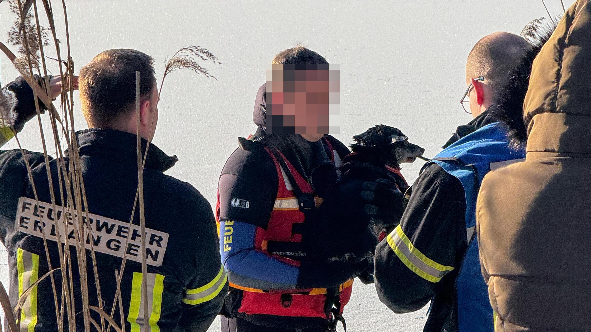 Dechsendorfer-Weiher-Feuerwehr-Erlangen-rettet-mit-Spezial-Schlitten-Hund-aus-Eiswasser