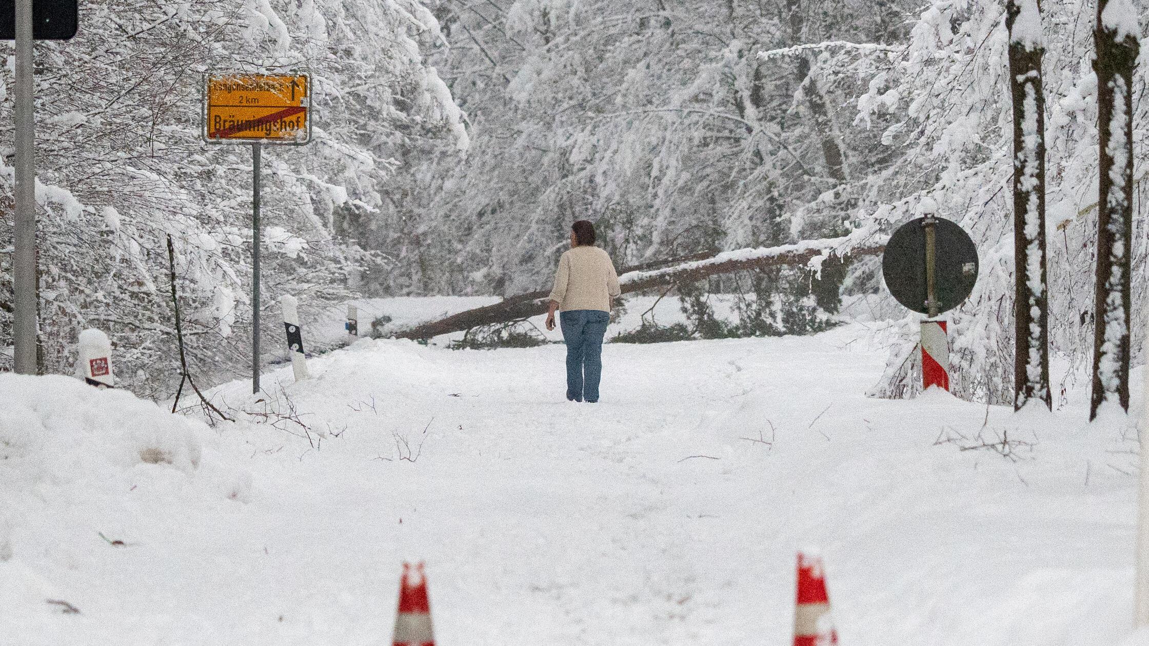 Live-Ticker-Erhebliche-Schneebruchgefahr-in-Franken-und-erneut-teilweiser-Schulausfall