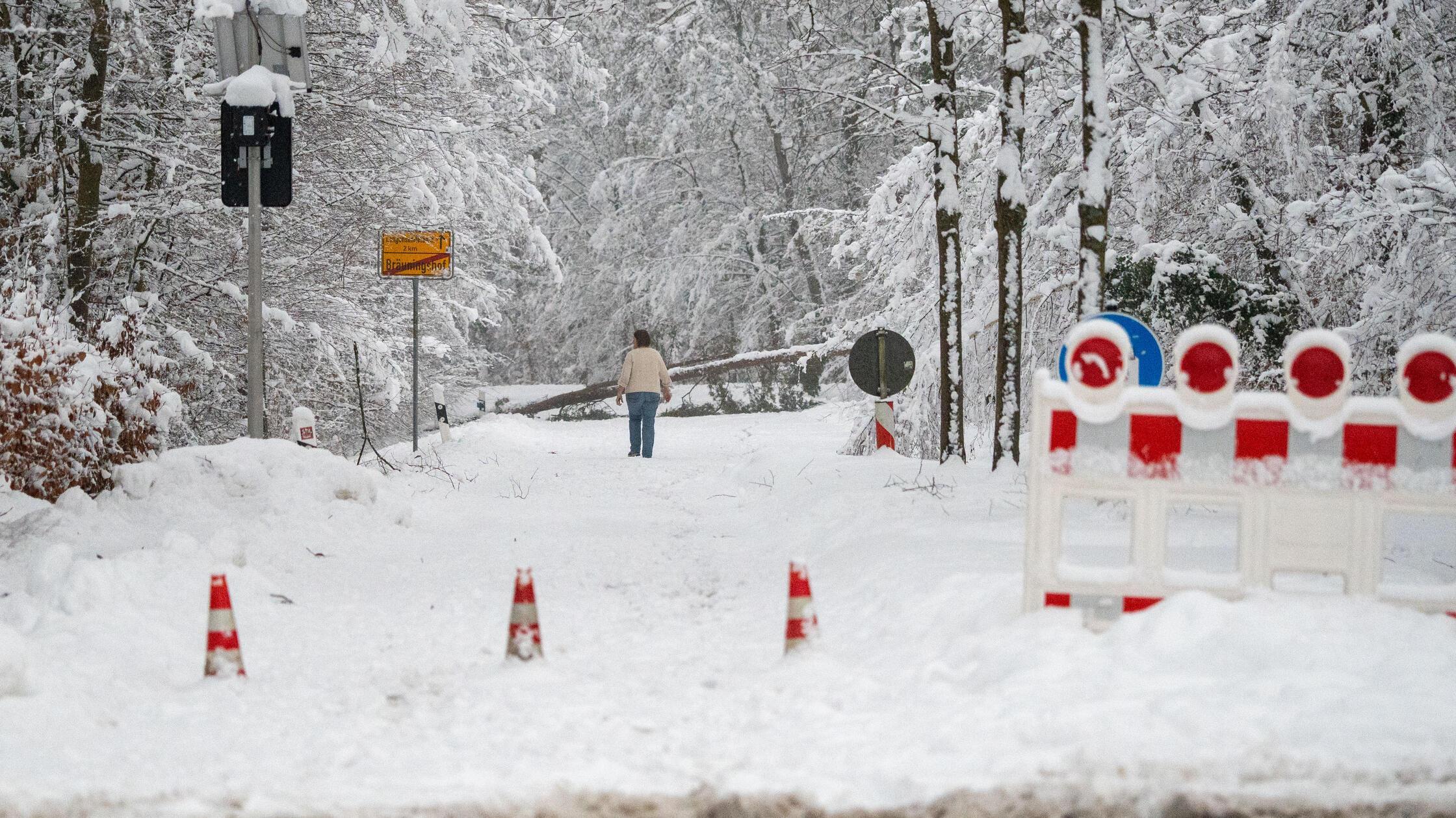 Live-Ticker-Erhebliche-Schneebruchgefahr-in-Franken-und-heute-erneut-teils-Schulausfall