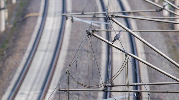 urn:newsml:dpa.com:20090101:240417-99-706539