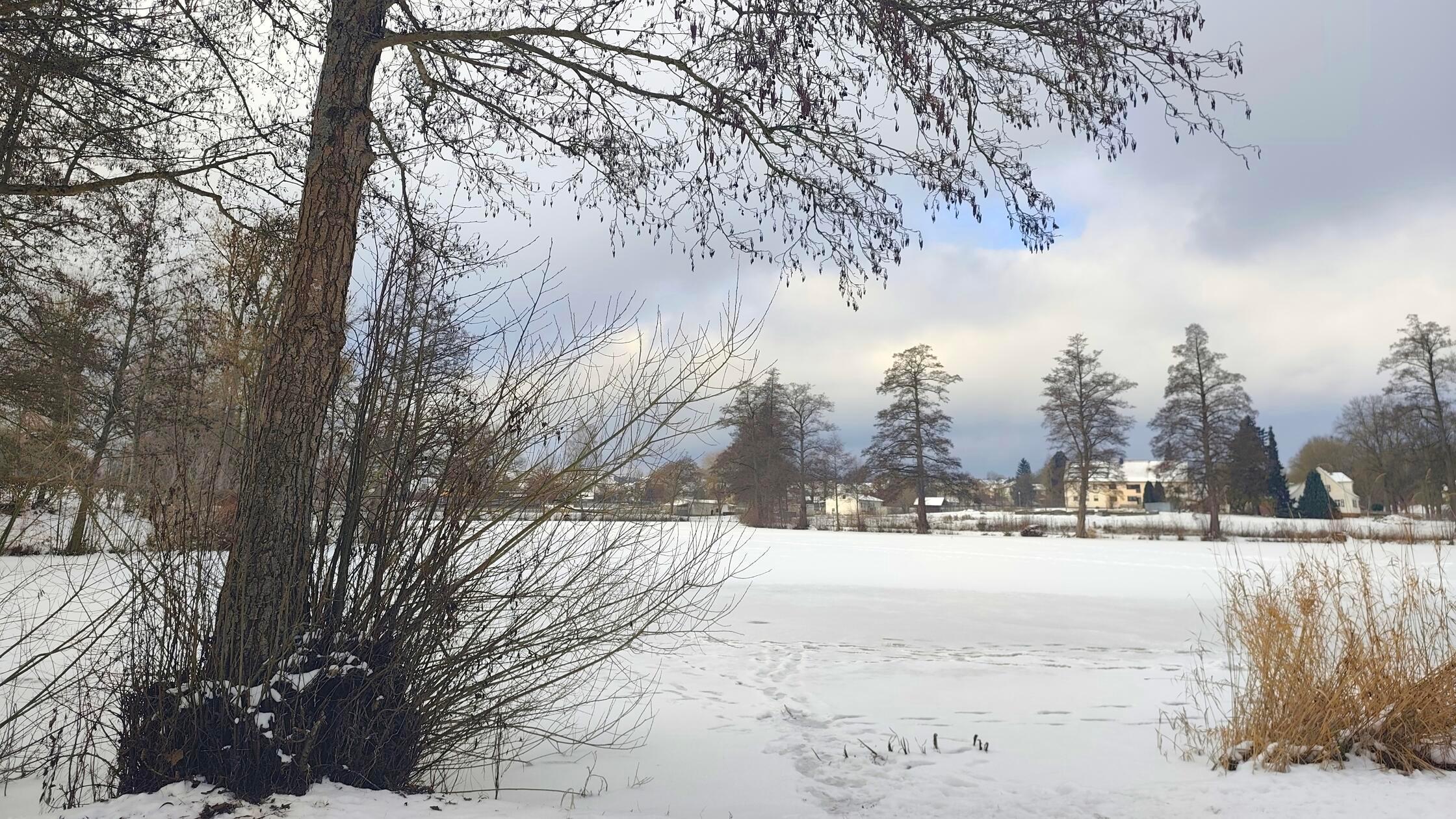 Wasserwacht-Auerbach-warnt-Schnee-kann-Schadstellen-auf-dem-Stadtweiher-verdecken