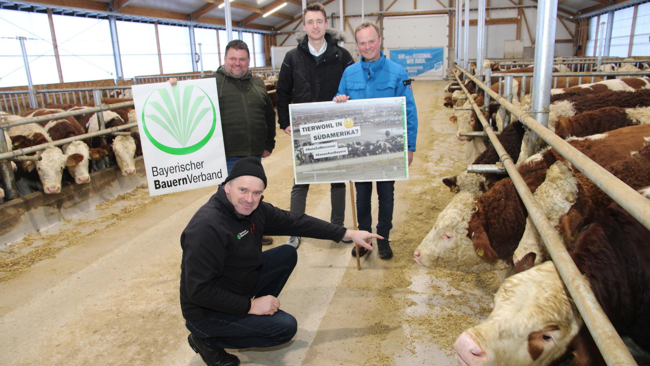 Das Tierwohl ist gerade durch das Freihandelsabkom