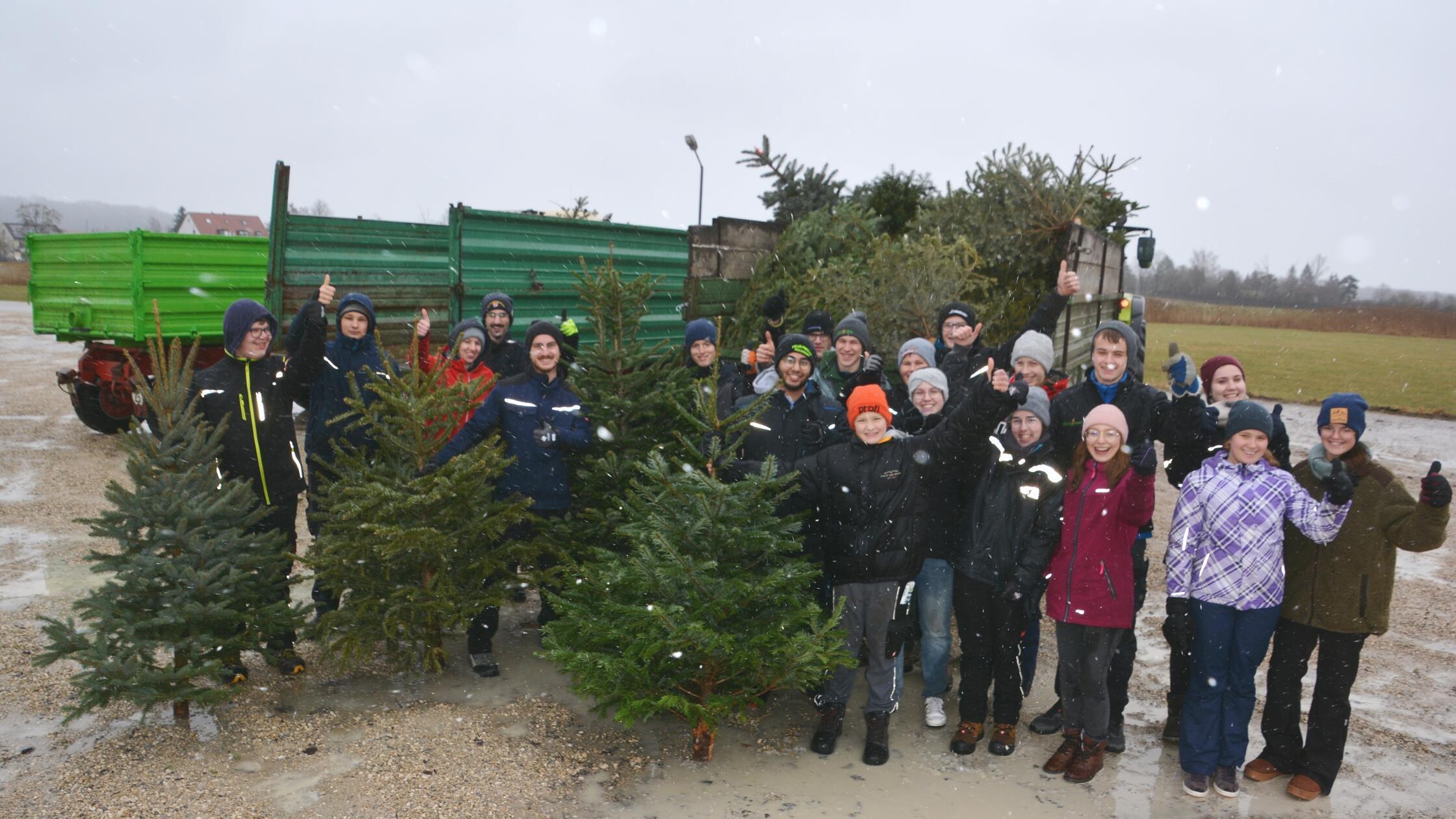 Jugendliche-sammeln-Christb-ume-ein