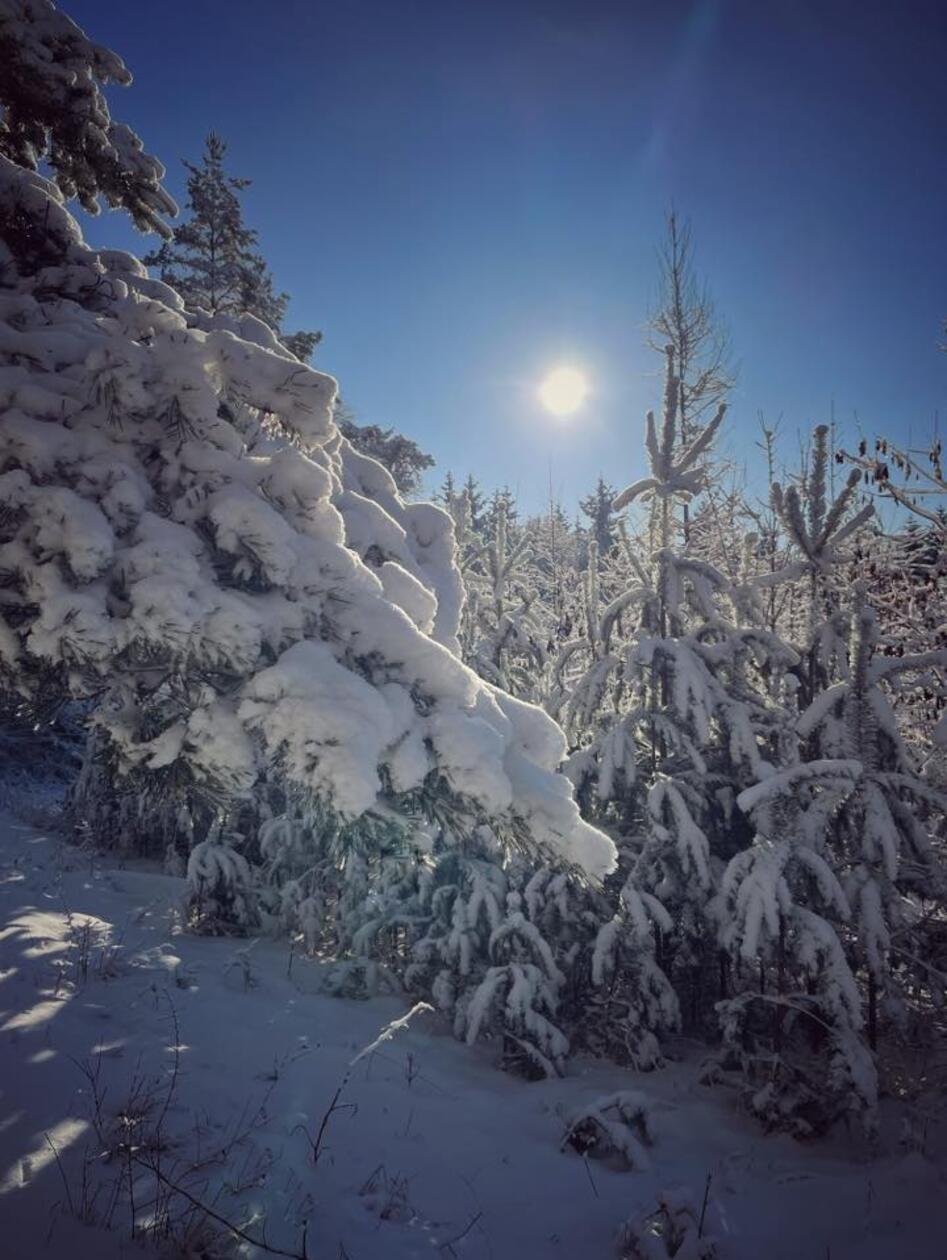 Wir haben die schönsten Bilder ausgewählt.