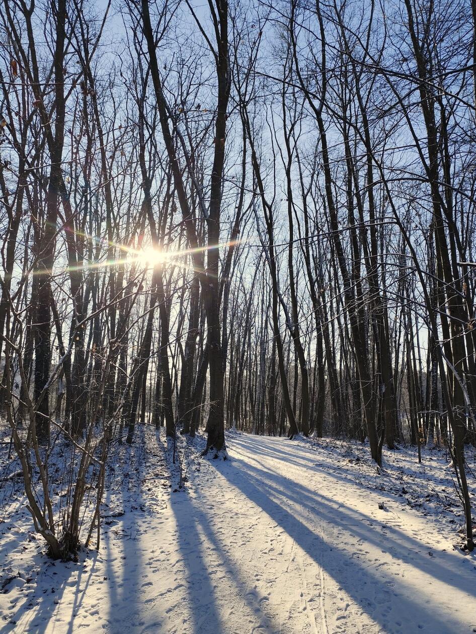 Gibt es eine herrlichere Kombination als Sonne und Schnee, welche Bettina Haßler hier eingefangen hat?