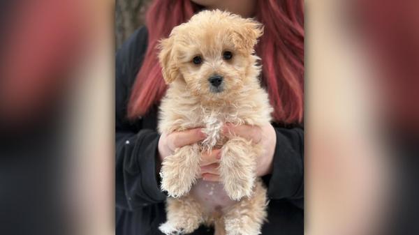 2026-01-12_11-19_bild_erweitern