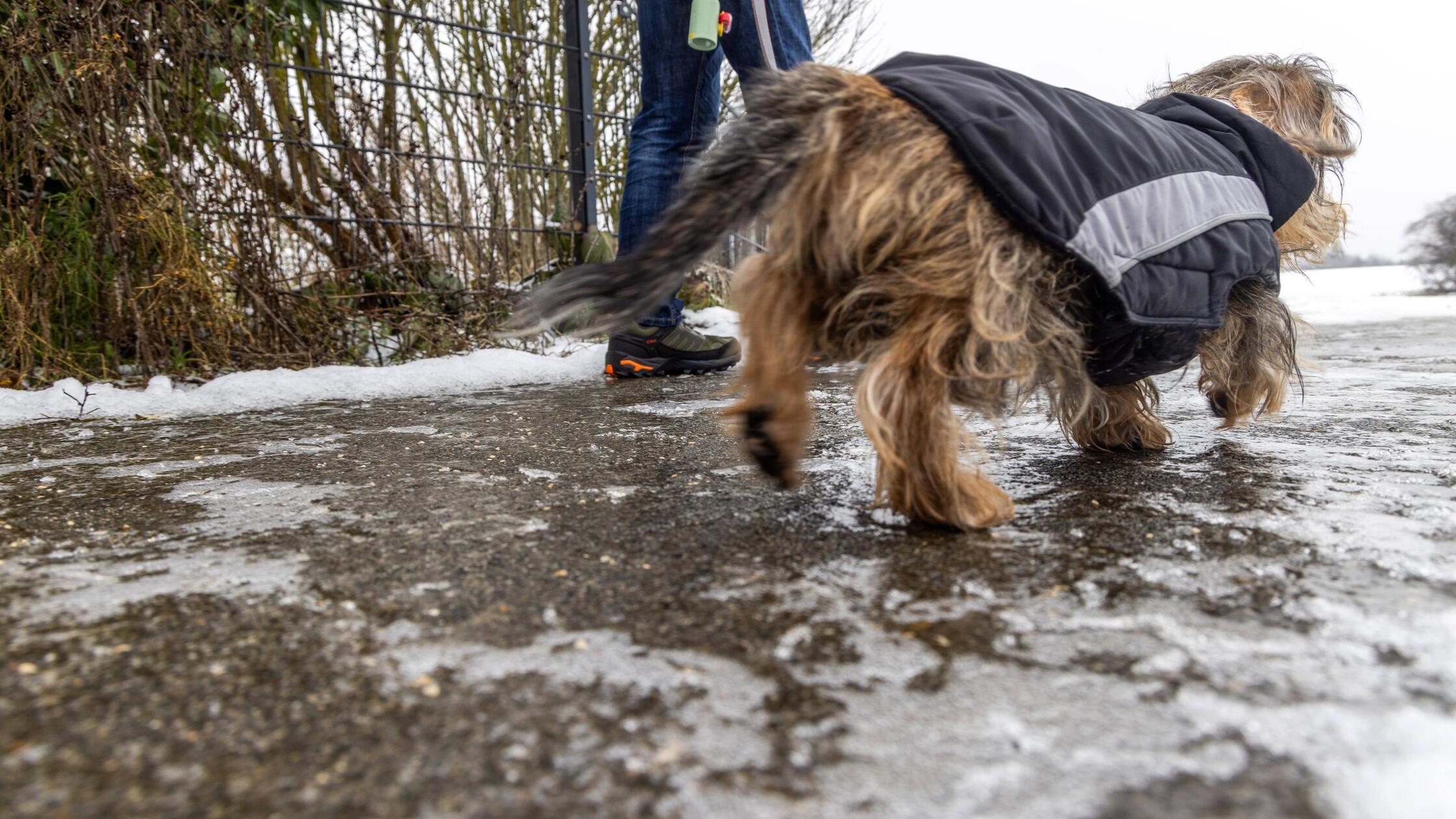 St-rze-und-Br-che-Das-Glatteis-sorgte-f-r-zus-tzlichen-Betrieb-in-der-F-rther-Notaufnahme