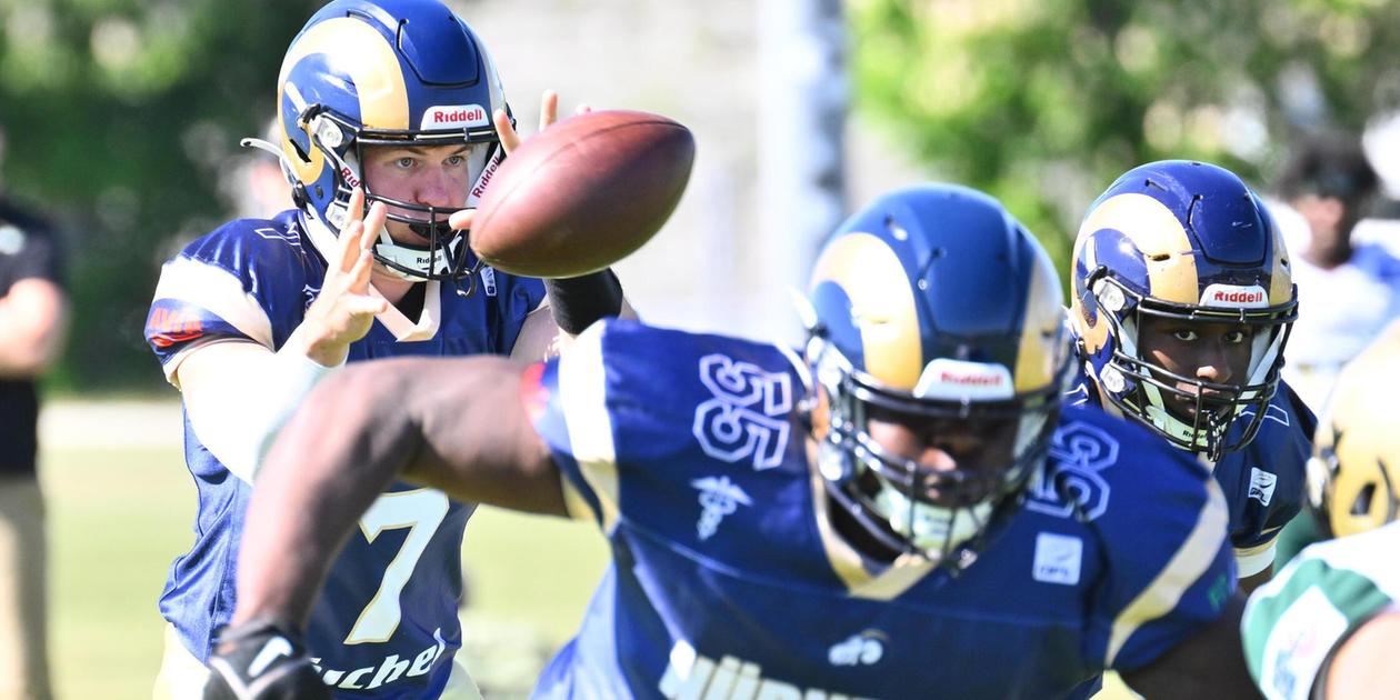 Nr Rams Baseball Nach dem freiwilligen Abstieg: So geht‘s mit den Nürnberg Rams in der ...