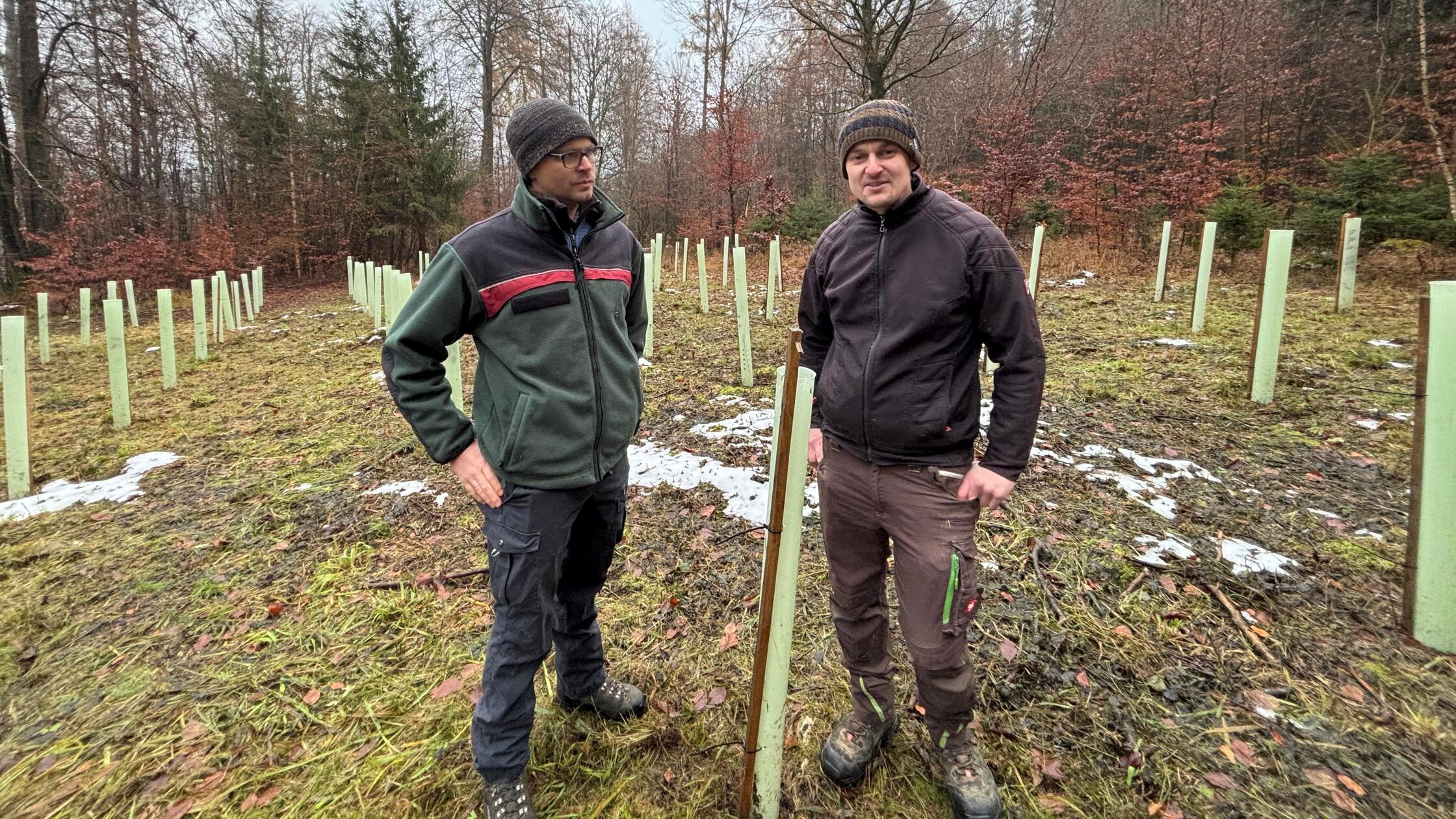 -Was-du-heute-machst-ist-f-r-die-Kinder-Deckersberger-baut-Wald-der-Zukunft-mit-Video