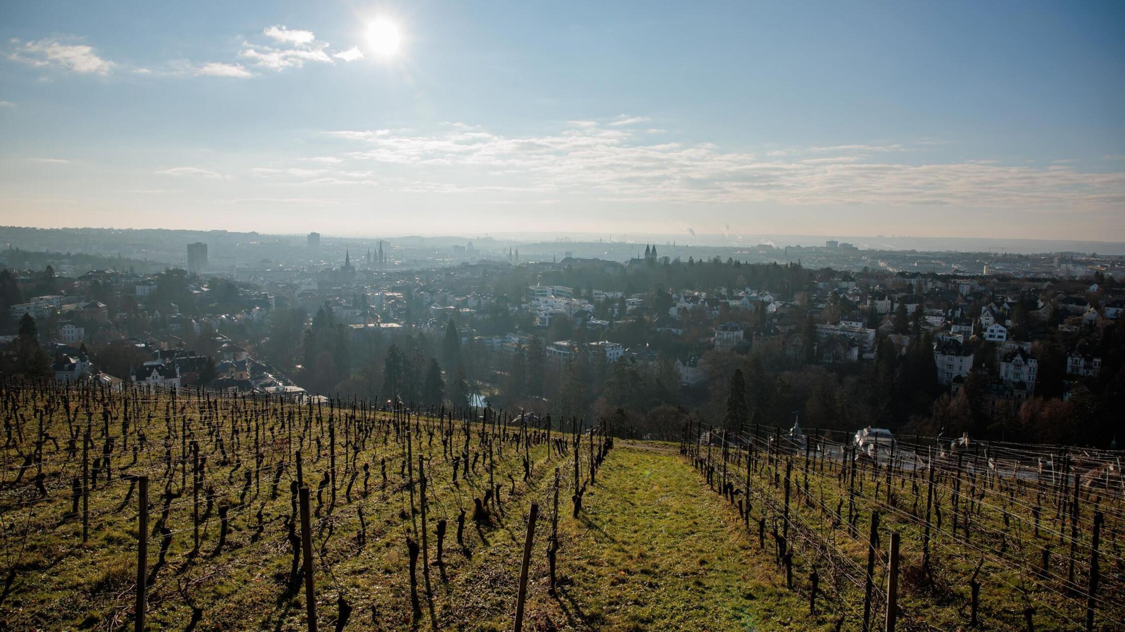 Nach-turbulentem-Jahresstart-wird-das-Wetter-ruhiger