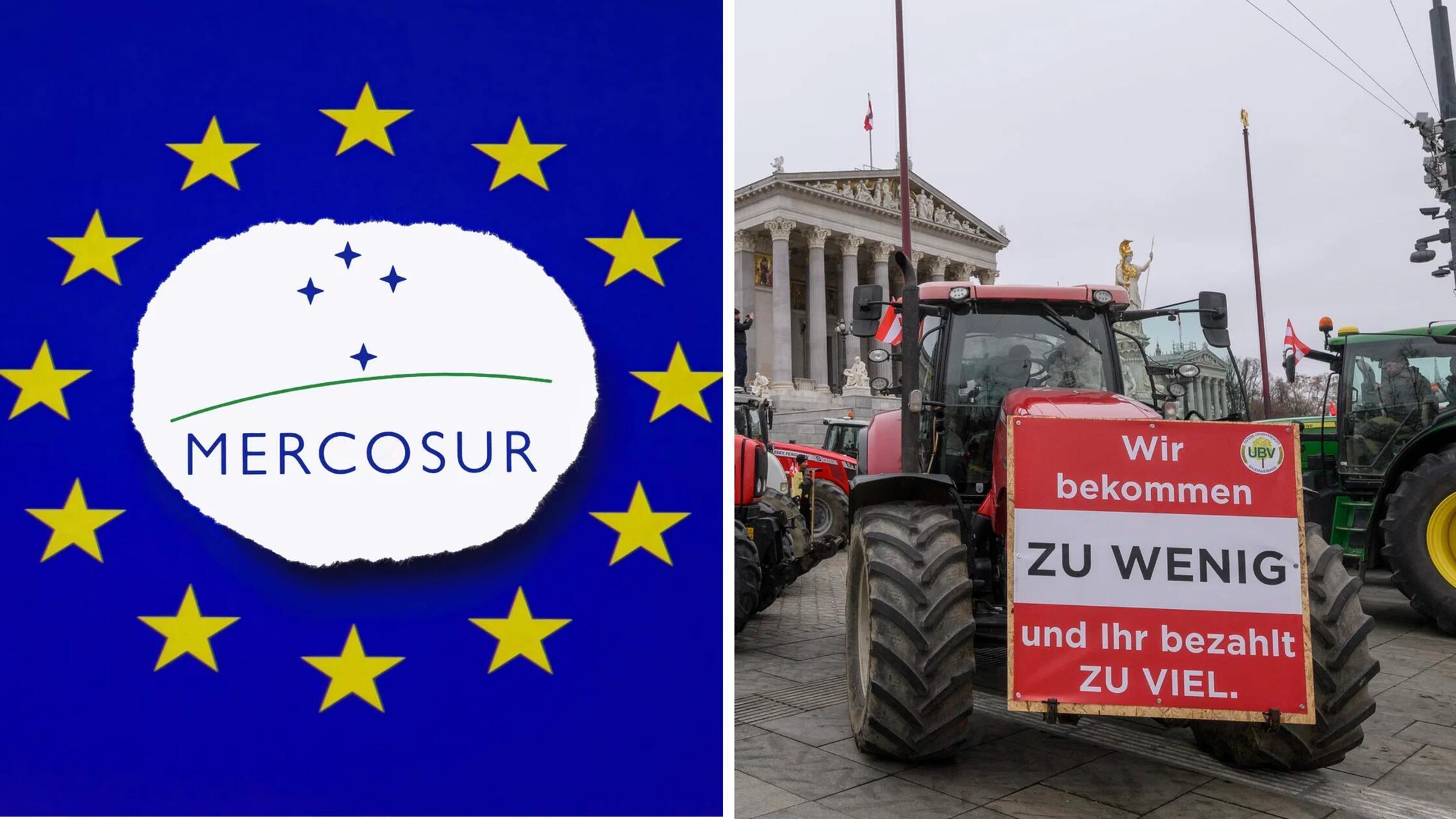 2026-01-15_11-12_collage