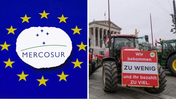 2026-01-15_11-12_collage