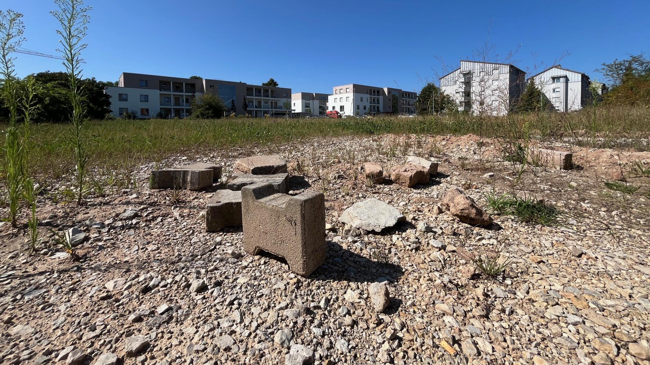 -Praktisch-hirntot-Heftige-Kritik-der-Zirndorfer-CSU-an-Ziwo-Bau-und-WBG