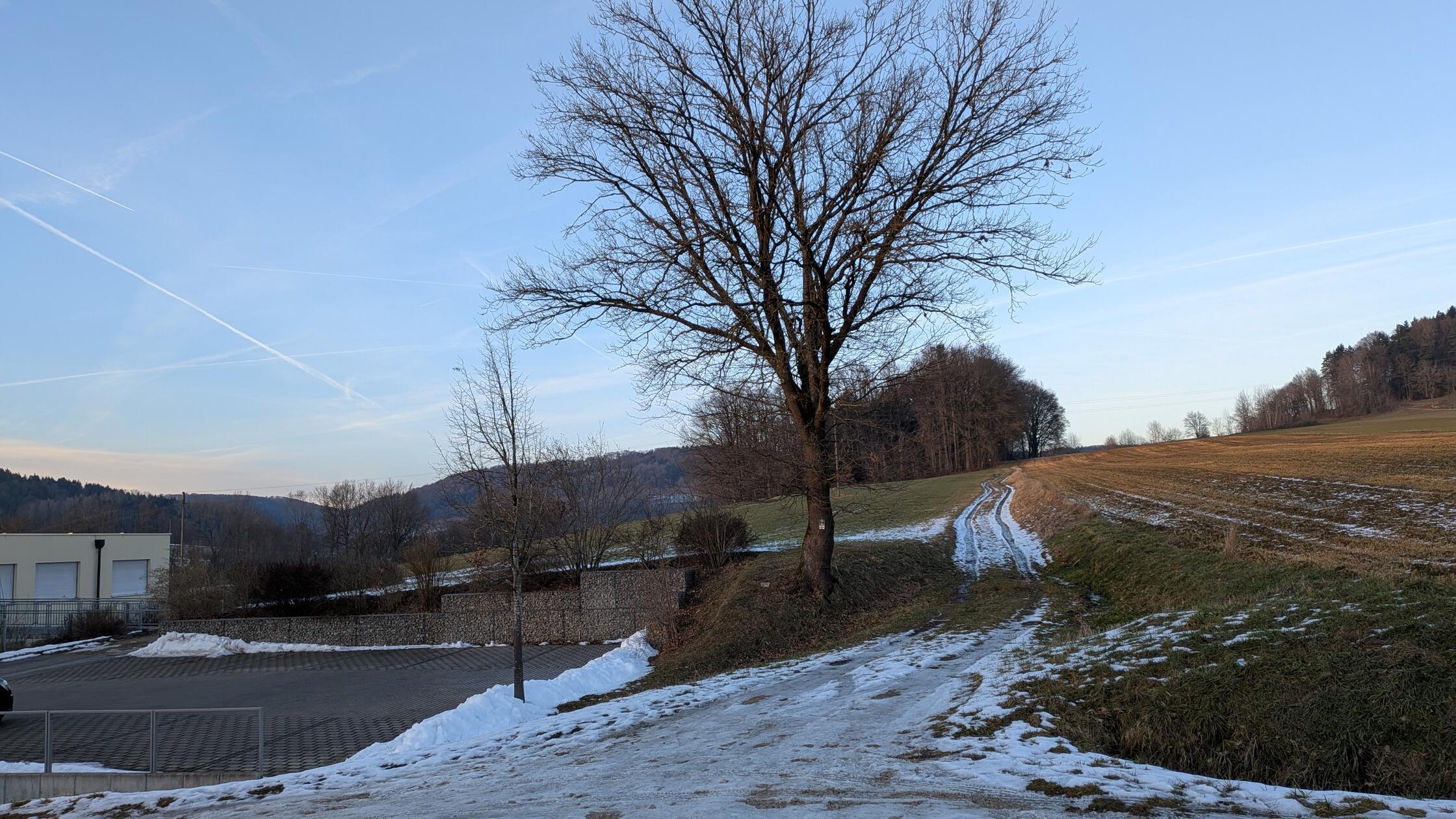 In Pilsach soll das Baugebiet "Hofäcker" erschloss