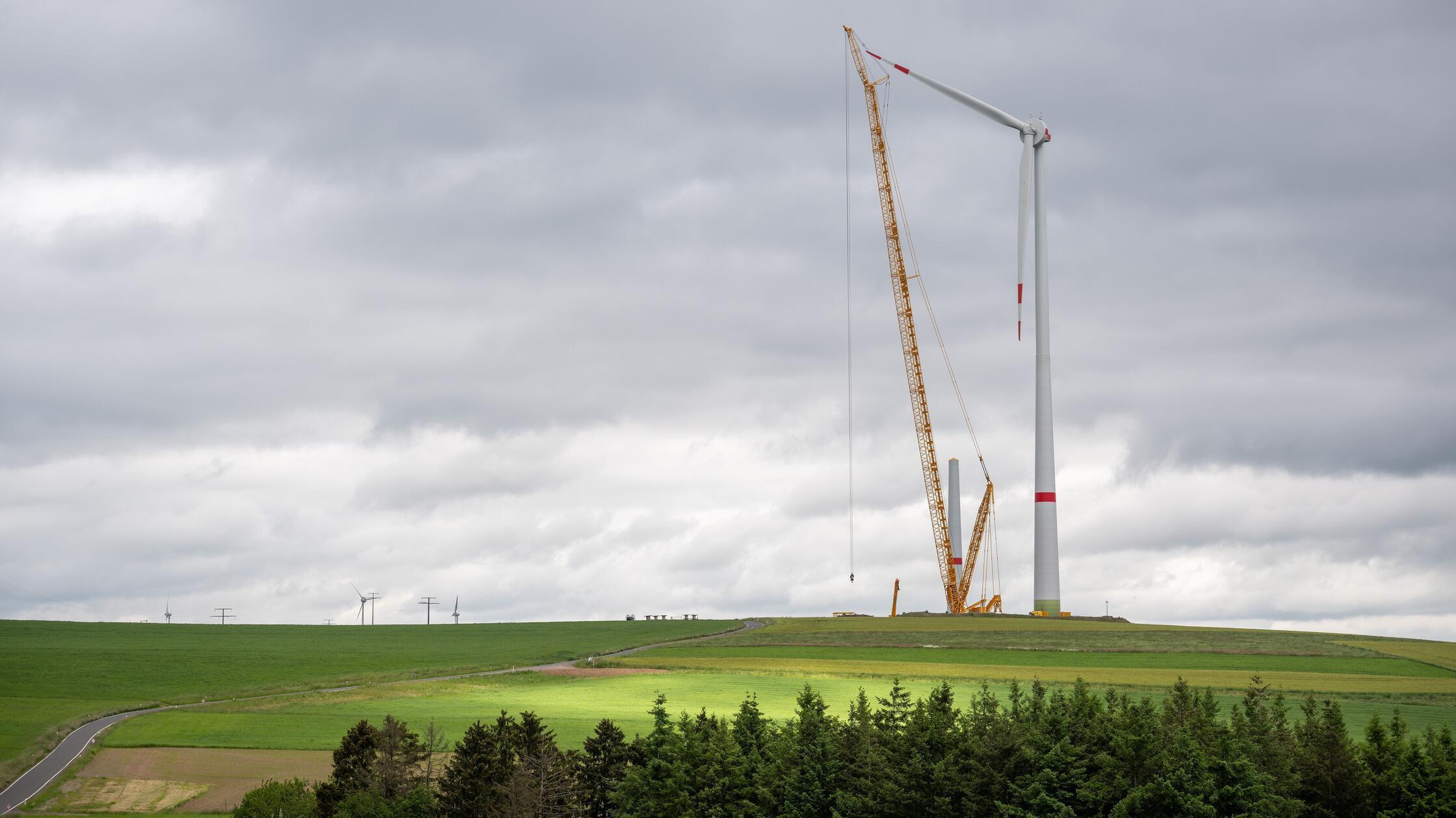 ARCHIV - 05.06.2024, Rheinland-Pfalz, Obergeckler: