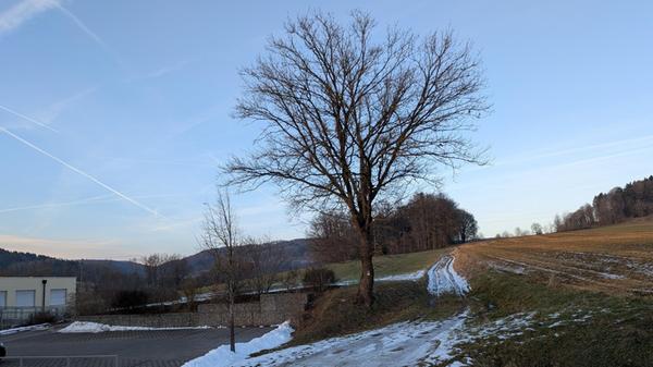 In Pilsach soll das Baugebiet "Hofäcker" erschloss