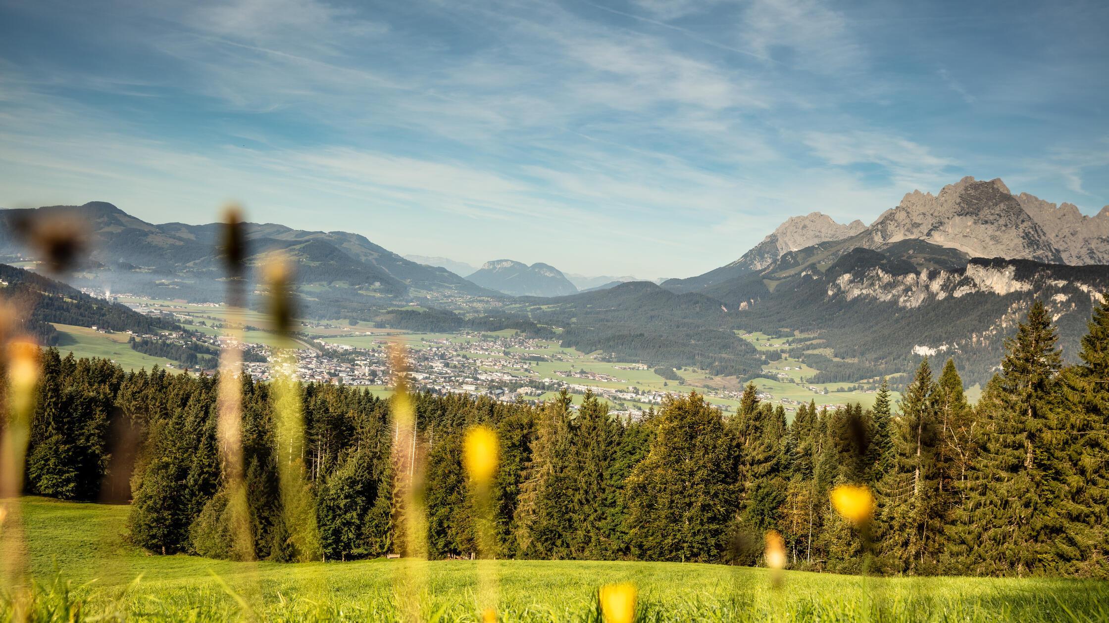Sommer Landschaften (c) Mirja Geh (1)